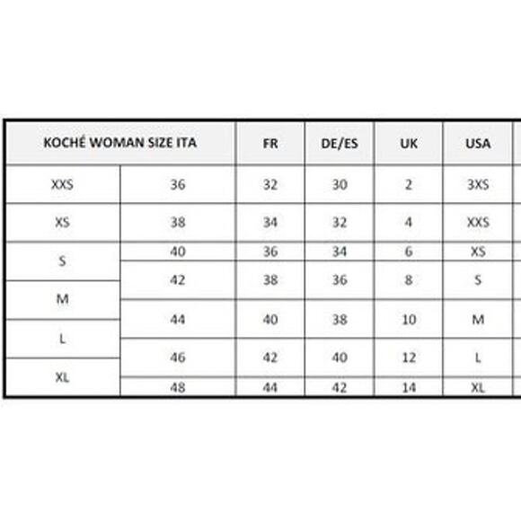 Koché Collective Python Buckle Dress, Various Sizes, MSRP $275 - Picture 13 of 13